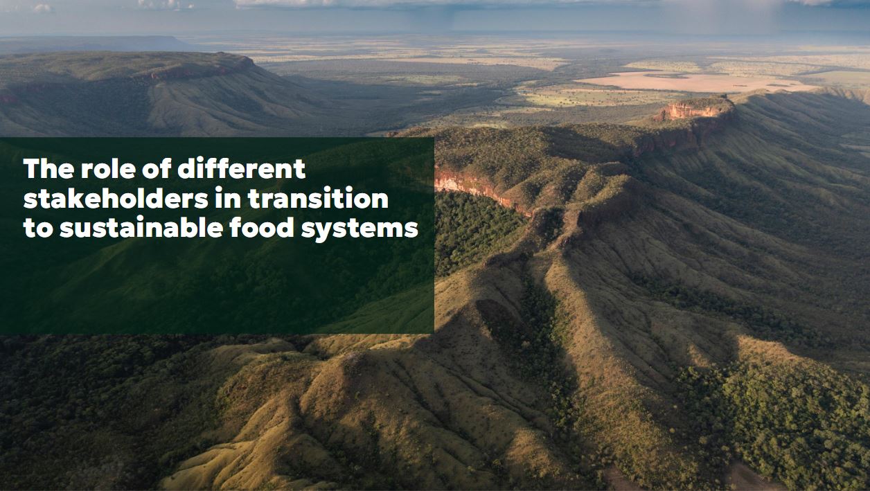 The role of different stakeholders in transition to sustainable food systems