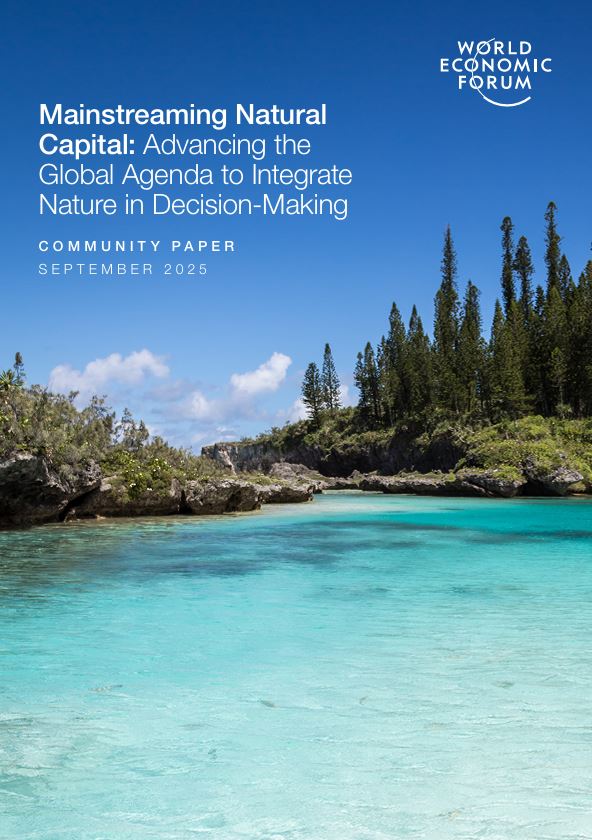 Mainstreaming Natural Capital: Advancing the Global Agenda to Integrate Nature in Decision-Making